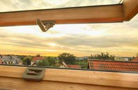 rated Statenborough roof window companies